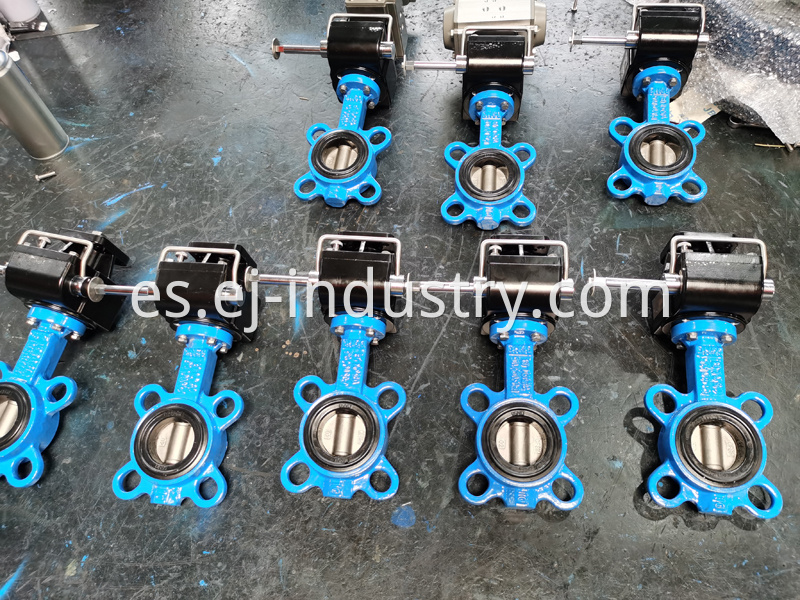 Wafer Butterfly Valve 2